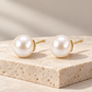 Vellouswell Cream Pearl-Look Stud Earrings | Gold-Tone Settings