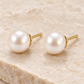 Vellouswell Cream Pearl-Look Stud Earrings | Gold-Tone Settings